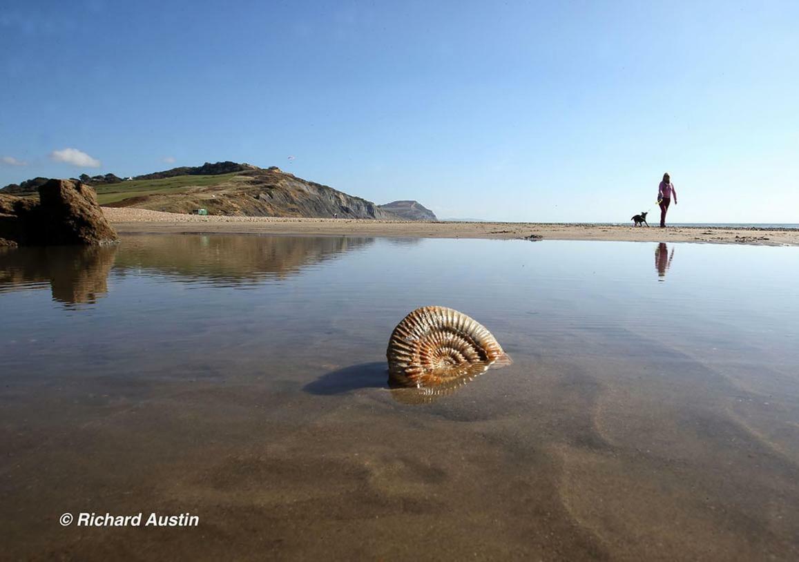 4A Dolphin Close Daire Lyme Regis Dış mekan fotoğraf